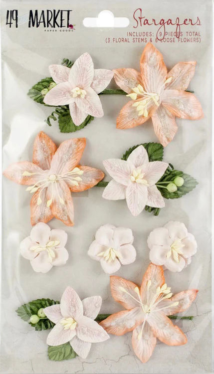 49 and Market Stargazers Peach Sorbet - Image 2