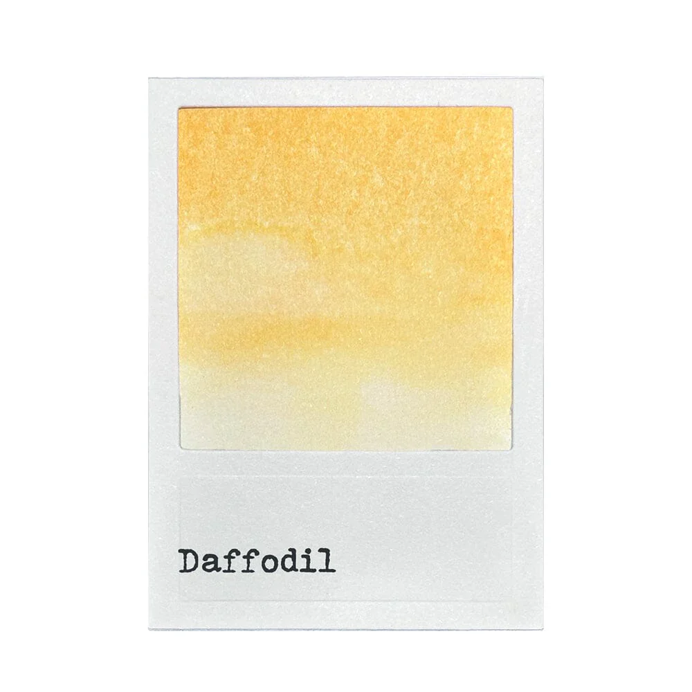 49 & Market Dye Ink Reinker (0.5 oz) - Daffodil - Image 2