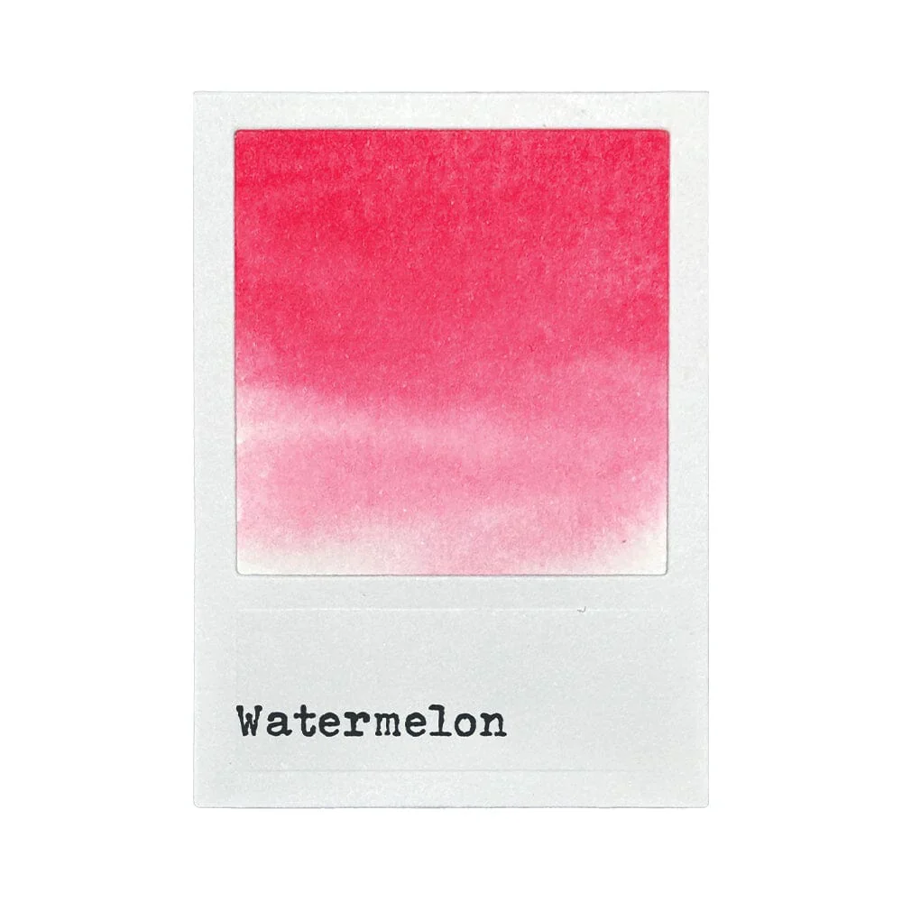 49 & Market Dye Ink Pad - Watermelon - Image 4