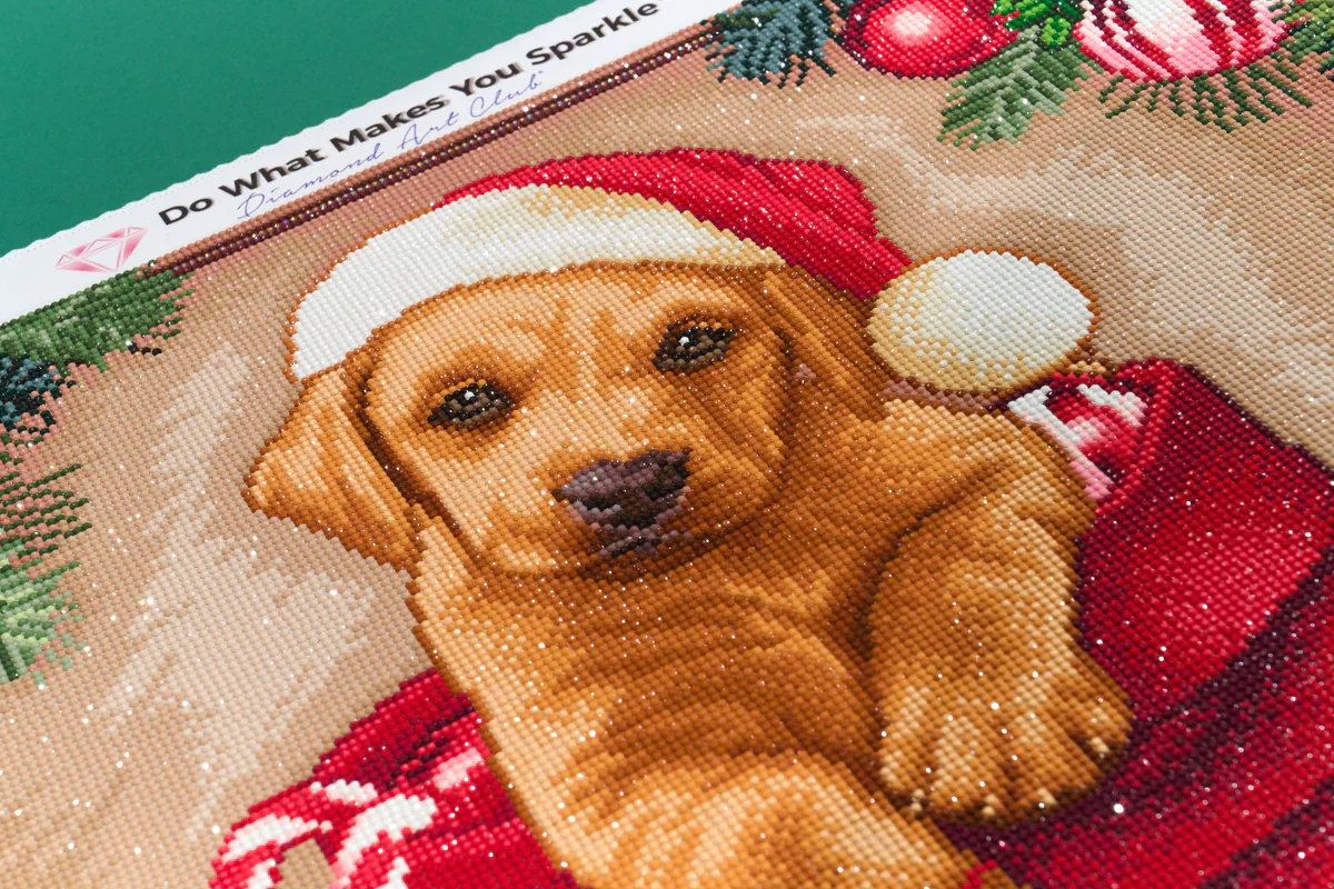 Diamond Art Club From Santa - Image 4