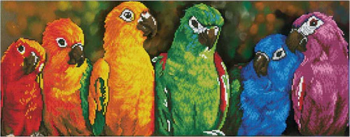 Diamond Dotz Rainbow Parrots - Image 2