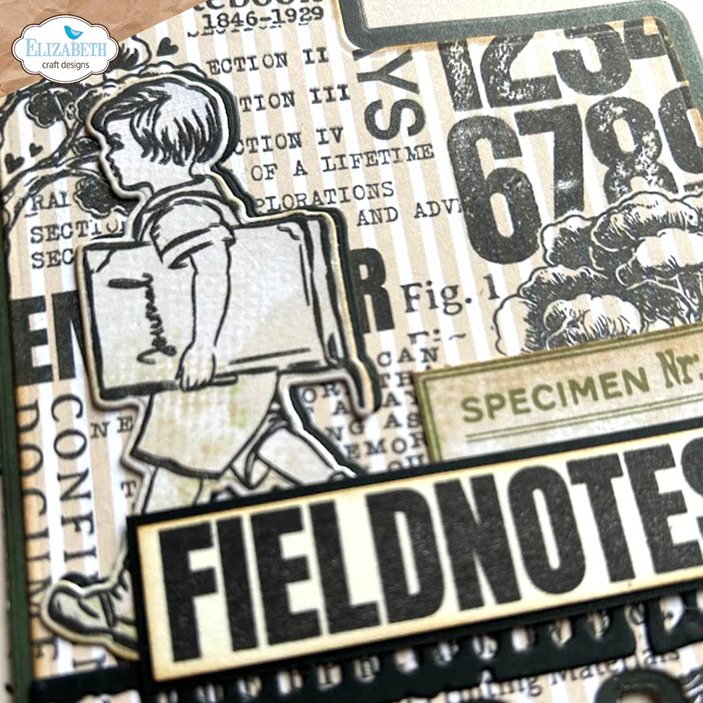 Elizabeth Craft Designs Field Notes Die & Stamp Set - Image 4
