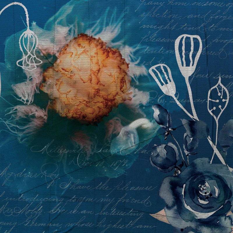 Elizabeth Craft Designs Summer Art 12” x 12” Paper Pack - Image 5