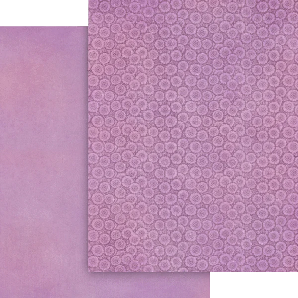 Graphic 45 Fairy Boutique 8.5” x 11” Patterns & Solids Pack - Image 8