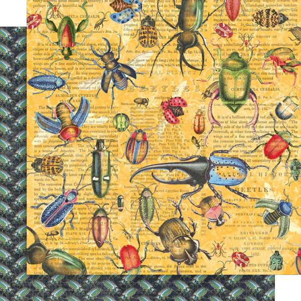 Graphic 45 Flutter - Keepsake Kit (with Exclusive Metal Die Set) - Image 10