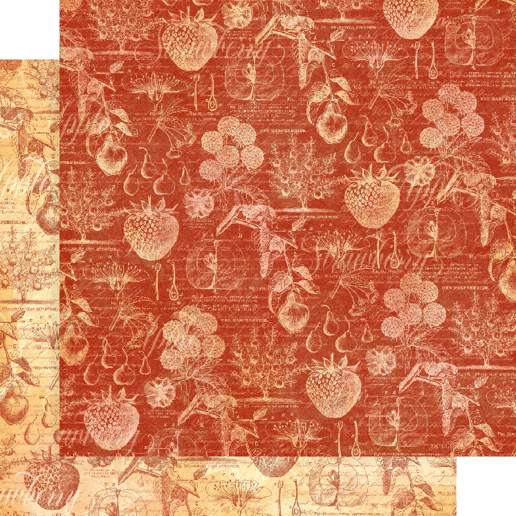 Graphic 45 Fruit and Flora 12 x 12 Collection Pack - Image 7