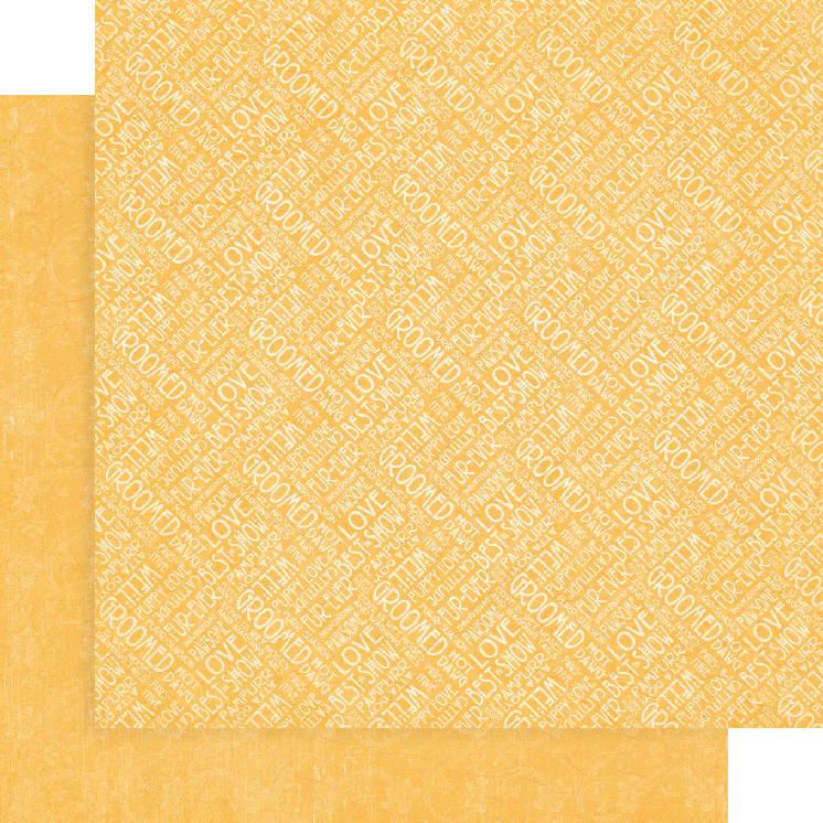 Graphic 45 Well Groomed 12” x 12” Solids & Patterns Pad - Image 4
