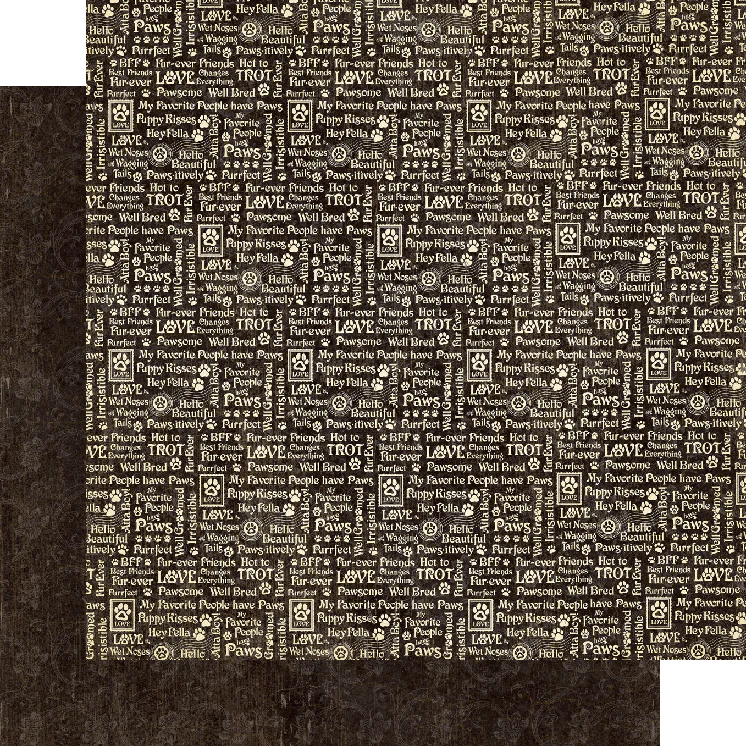 Graphic 45 Well Groomed 12” x 12” Solids & Patterns Pad - Image 9