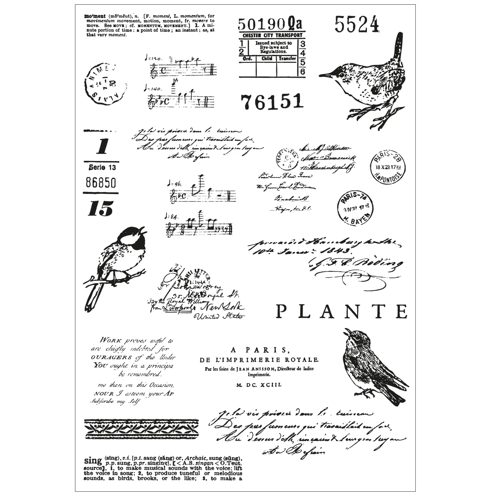 Sizzix Framelit Die Set w/Stamps - Bird Song by 49 & Market - Image 3