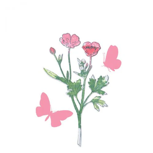 Sizzix Framelit Die Set w/Stamps - Painted Pencil Botanical by 49 & Market - Image 2