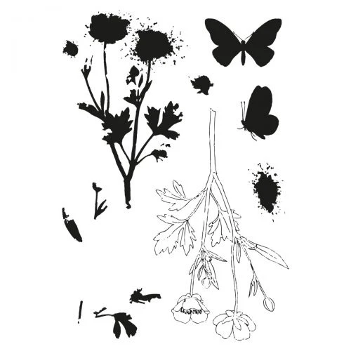 Sizzix Framelit Die Set w/Stamps - Painted Pencil Botanical by 49 & Market - Image 4