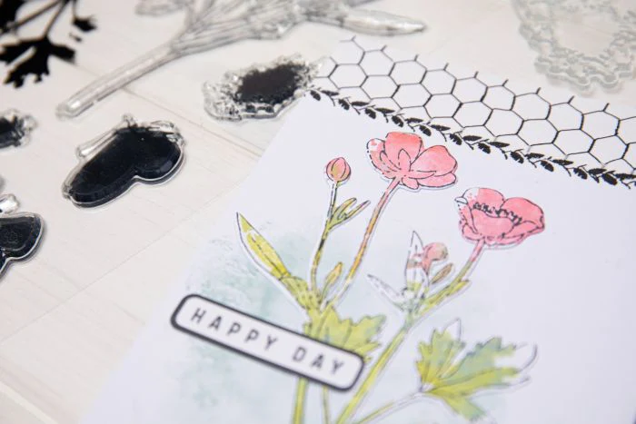 Sizzix Framelit Die Set w/Stamps - Painted Pencil Botanical by 49 & Market - Image 6