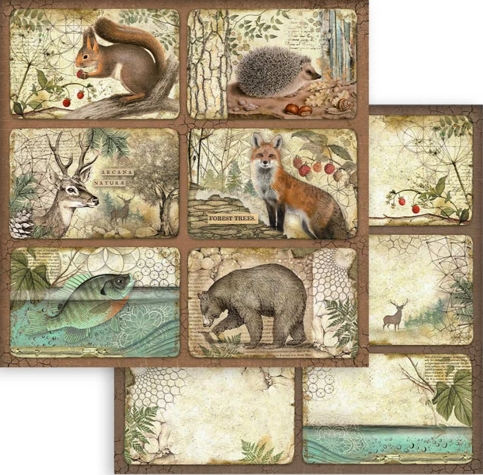 Stamperia Forest 12” x 12” Paper Pad - Image 6