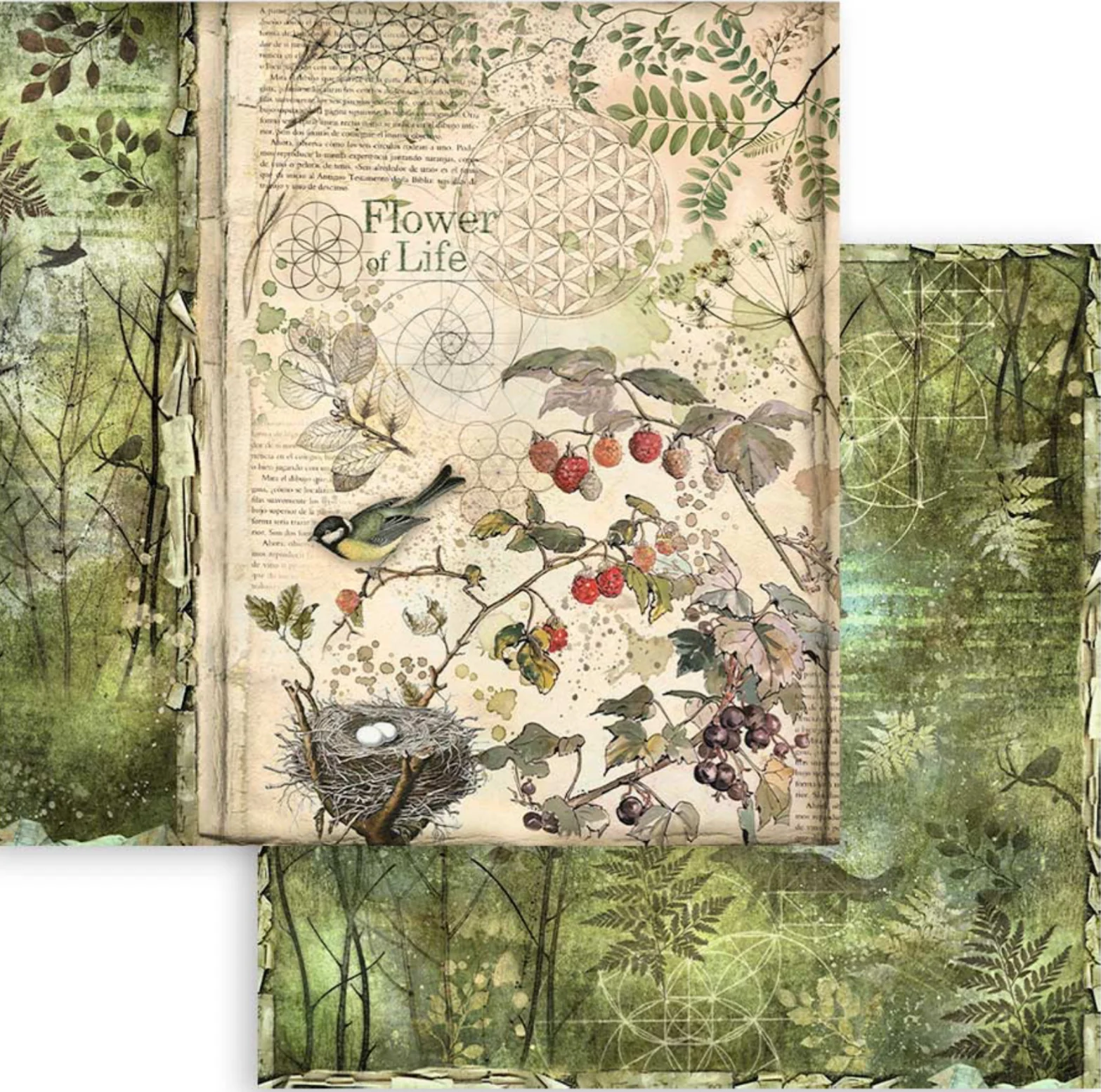 Stamperia Forest 12” x 12” Paper Pad - Image 8