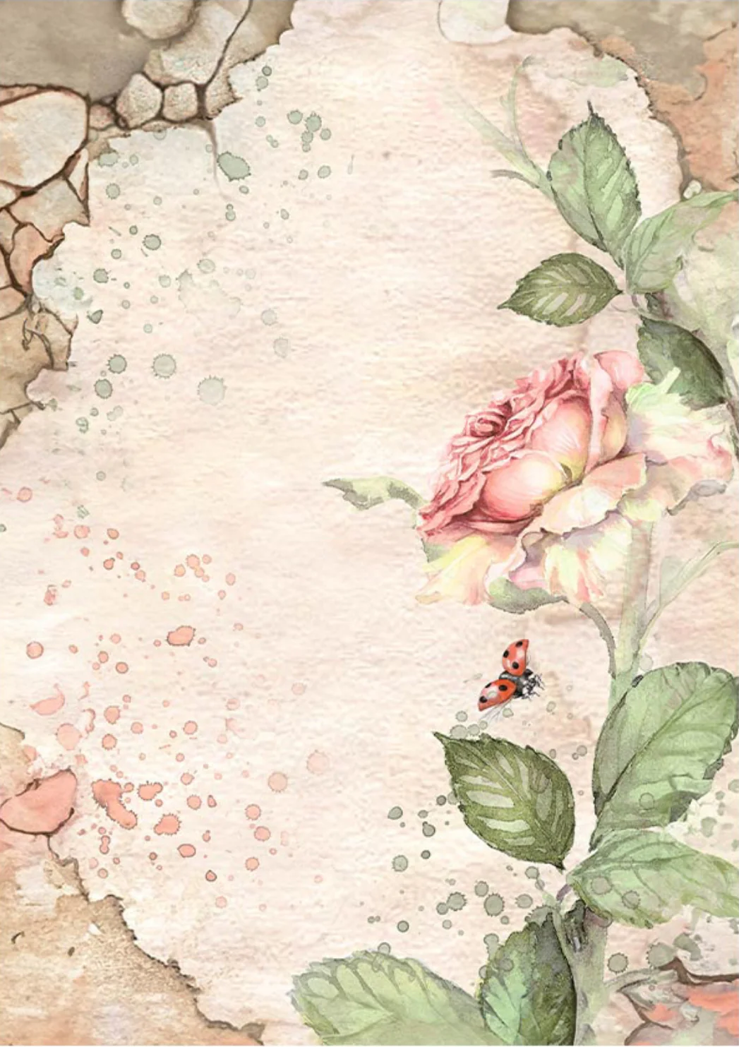Stamperia House of Roses Backgrounds A6 Rice Papers (8/Pk) - Image 3