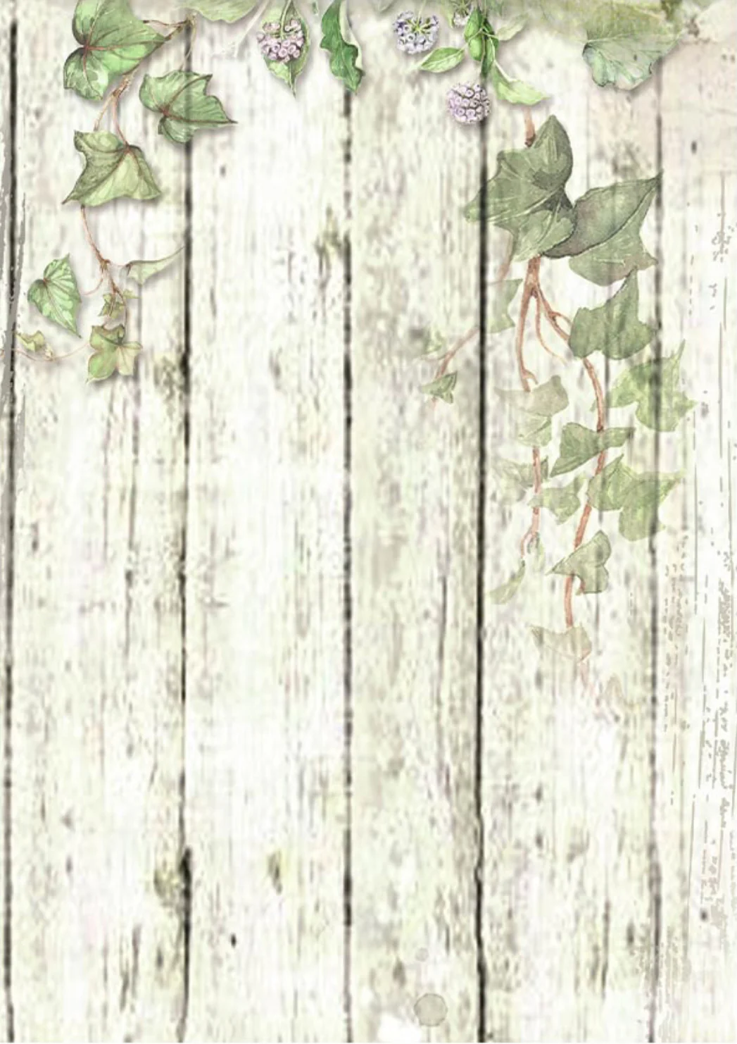Stamperia House of Roses Backgrounds A6 Rice Papers (8/Pk) - Image 7