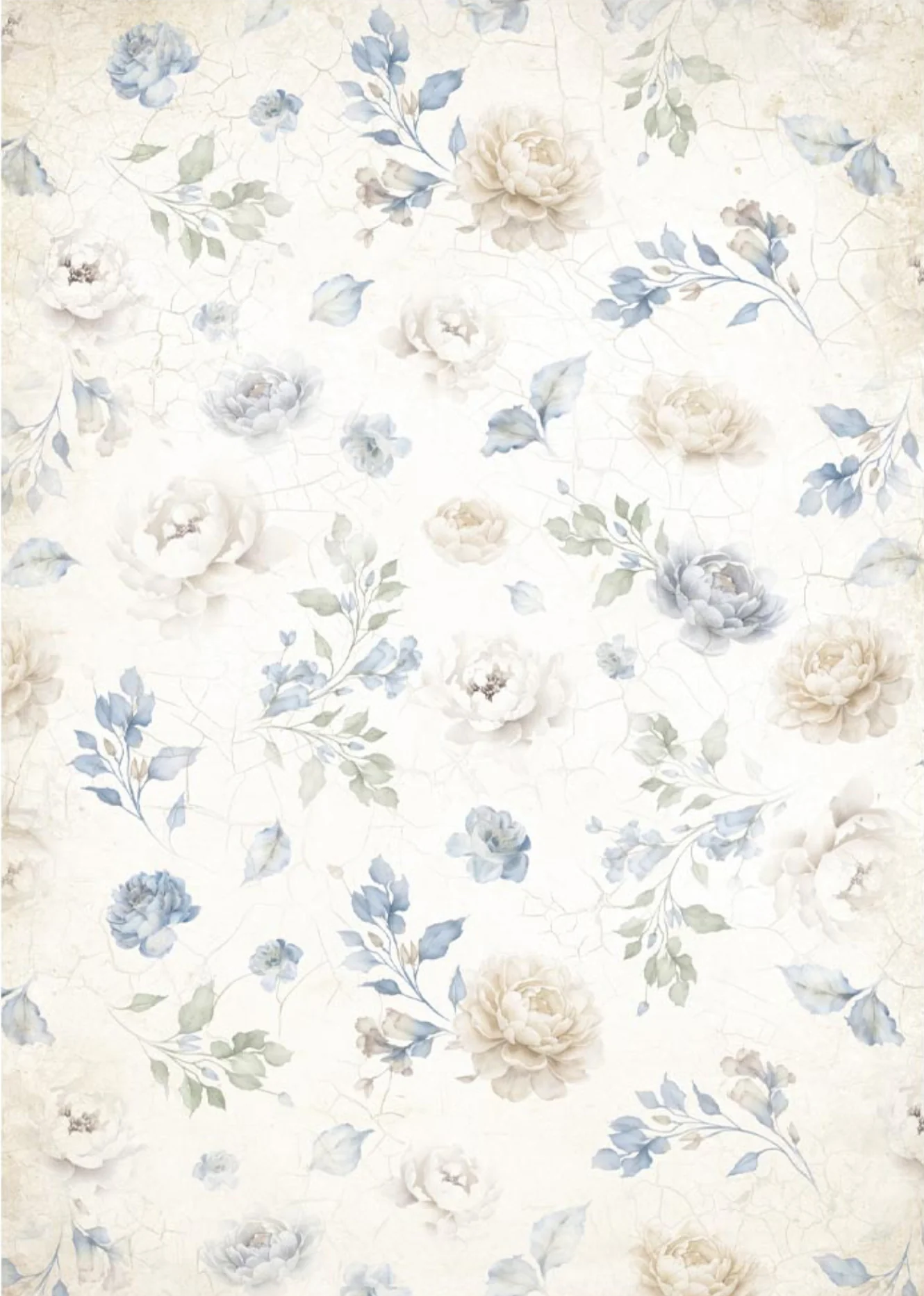 Stamperia Timeless Backgrounds A6 Rice Papers (8/Pk) - Image 5